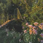 Les Hortillonnages_b&b Inn_centre Ville_terrasse_wifi_netflix Αμιάν